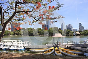 Landscape scene of beautiful Lumphini public park important land