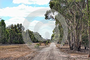 Landscape Scene of Serendip Sanctuary in Lara, Victoria, Australia