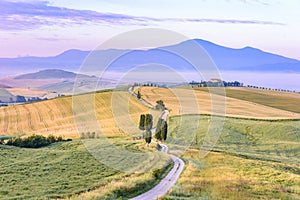 Landscape scenery early in the morning of Tuscany in Italy, with cypresses trees and green field with beautiful colors on summer