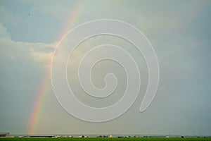 Landscape scenery of green paddy field with rainbow.