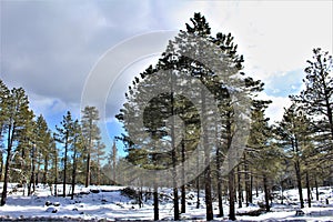 Landscape Scenery, Interstate 17, Flagstaff to Phoenix, Arizona, United States