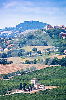landscape scenery in Italy Marche