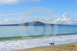 Landscape Scenery of Milford Beach Auckland New Zealand; View to Rangitoto Island during Sunny Day