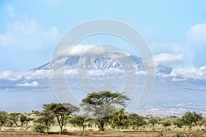 Landscape scenery of Mount Kilimanjaro with foreground of savanna grassland view from Amboseli National Park Kenya