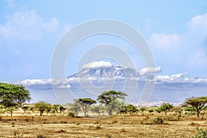 Landscape scenery of Mount Kilimanjaro with foreground of savanna grassland view from Amboseli National Park Kenya