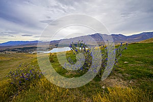 Landscape scenery of New Zealand during cloudy day.