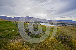 Landscape scenery of New Zealand during cloudy day.