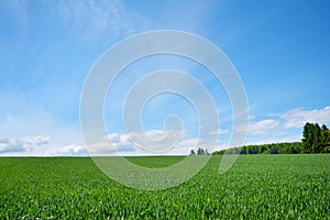 Landscape scenery view with green meadows and blue sky on a summer day on certified climatic health resort Gaiberg in Germany