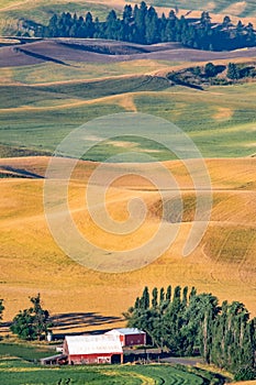 landscape scenes in palouse washington