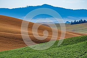 landscape scenes in palouse washington