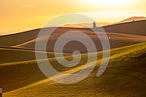 Landscape scenes in palouse washington