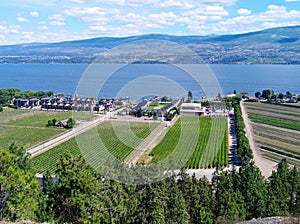 Landscape scenic overlook view of vinyards and farmland in Okanagan lake, West Kelowna, Okanagan Valley, BC, Canada