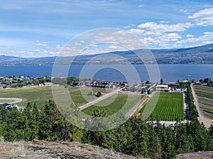 Landscape scenic overlook view of vinyards and farmland in Okanagan lake, West Kelowna, Okanagan Valley, BC, Canada