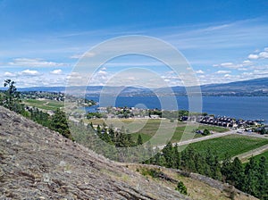 Landscape scenic overlook view of vinyards and farmland in Okanagan lake, West Kelowna, Okanagan Valley, BC, Canada