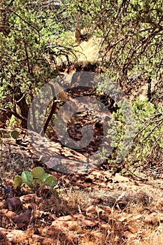 Landscape scenic view of Bell Trail, No. 13 at Wet Beaver Wilderness, Coconino National Forest, Arizona, United States