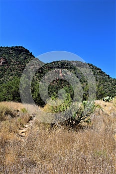 Landscape scenic view of Bell Trail, No. 13 at Wet Beaver Wilderness, Coconino National Forest, Arizona, United States