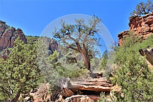 Landscape scenic view of Bell Trail, No. 13 at Wet Beaver Wilderness, Coconino National Forest, Arizona, United States