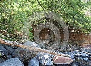 Landscape scenic view of Bell Trail, No. 13 at Wet Beaver Wilderness, Coconino National Forest, Arizona, United States