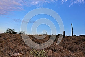 Landscape scenic view of Hieroglyphic  Canyon, Superstition Mountains, Hohokam Petroglyphs, Gold Canyon, Arizona, United States