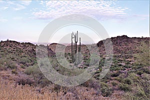 Landscape scenic view of Hieroglyphic  Canyon, Superstition Mountains, Hohokam Petroglyphs, Gold Canyon, Arizona, United States