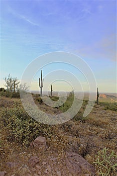 Landscape scenic view of Hieroglyphic  Canyon, Superstition Mountains, Hohokam Petroglyphs, Gold Canyon, Arizona, United States