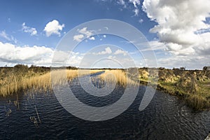 Landscape on Schiermonnikoog island photo