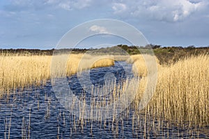 Landscape on Schiermonnikoog island photo