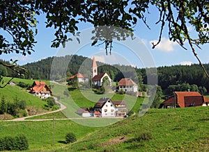 Landscape in Schwarzwald photo