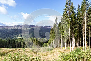 Landscape in the Scottish Highlands near Pitlochry