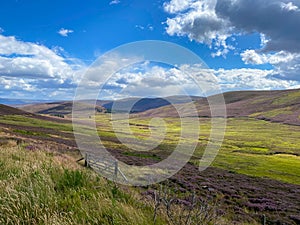 Landscape in the Scottish Highlands, Scotland