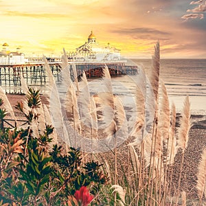 Landscape by the sea. Eastbourne Pier , East Sussex England UK