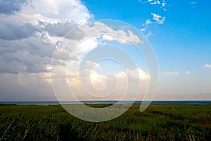 Landscape Sea of Galilee. Green, tall grass, a thin blue strip of water, mountains in a haze. White clouds on a blue sky