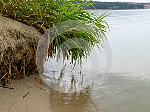 Landscape with sea and sand dune shore, shore slip, calm water, Curonian Spit, Nida