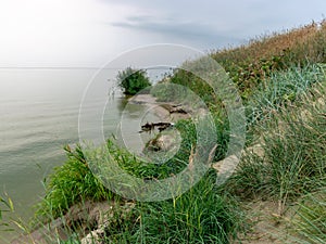 Landscape with sea and sand dune shore, shore slip, calm water, Curonian Spit, Nida
