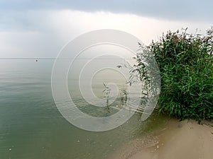 Landscape with sea and sand dune shore, shore slip, calm water, Curonian Spit, Nida