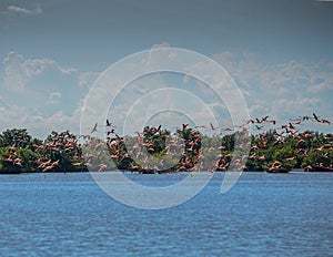 Landscape of a sea surrounded by greenery with pink seagulls flying above it under a cloudy sky