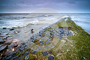 Landscape of the sea surrounded by rocks covered in mosses under a cloudy sky in the evening