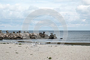 Landscape with seagulls,  sea view with breakwaters,  waves and sea shells,  clouds,  photographed in Gura Portitei,  Romania,  in