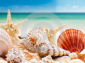 Landscape with seashells on tropical beach