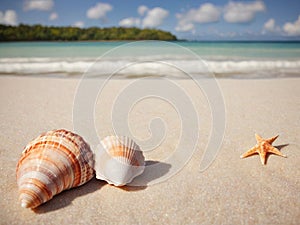 Landscape with seashells on tropical beach - generated by ai