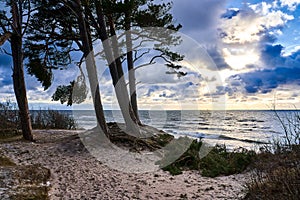 Landscape on the seashore. Warm European winter on the Baltic Sea