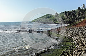 Landscape of seaside with coconut trees