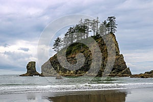 Landscape of Second Beach at Olympic National Park, Washington, USA.