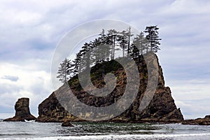 Landscape of Second Beach at Olympic National Park, Washington, USA