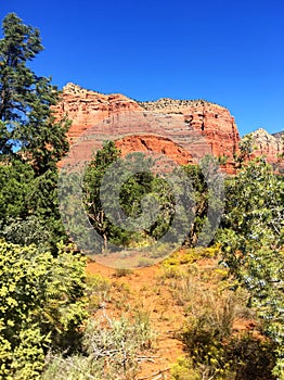 Landscape in Sedona Arizona