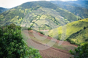 Landscape with seeded in Norte de Santander, Colombia photo