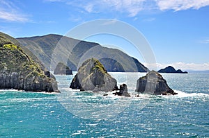 Landscape seen from ferry from Wellington to Picton