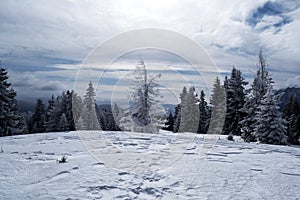 Landscape seen from the Grecul peak