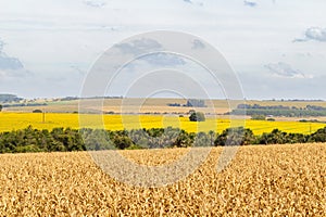 A landscape seen from a highway in Goias.