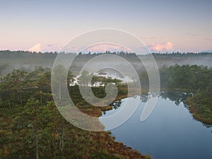 Landscape of Seli Bog photo